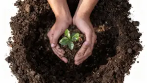 Mani che tengono una piccola pianta con terra fertile