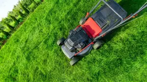Tagliaerba su un prato verde visto dall'alto