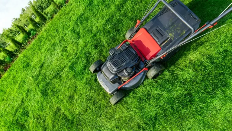 Tagliaerba su un prato verde visto dall'alto