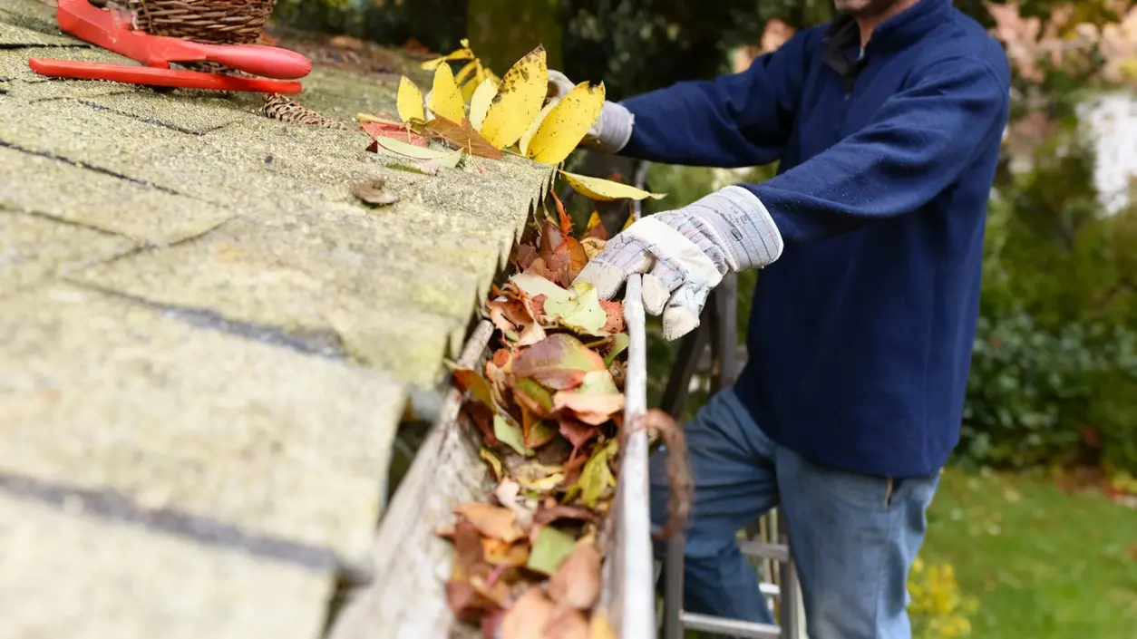 Persona che rimuove foglie da una grondaia piena usando i guanti, vista laterale del tetto