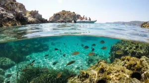 Fondale marino limpido con pesci e scogli, gruppo su gommone vicino alla costa rocciosa
